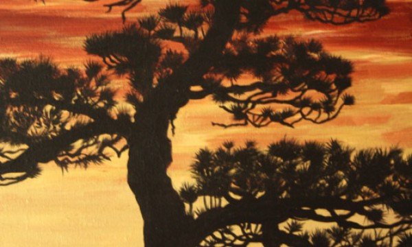 Tory Pine at Sunset