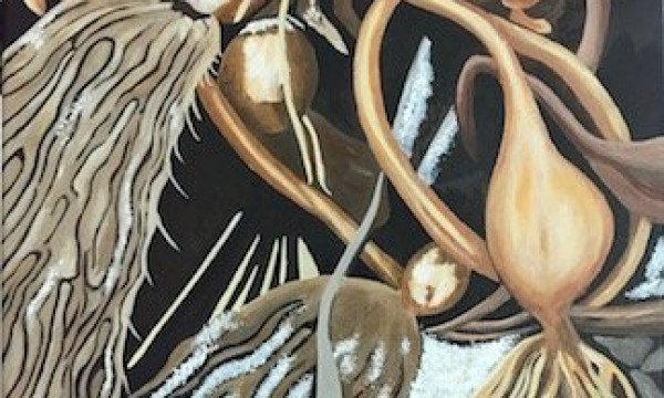 Ocean Treasures #1 Ocean Treasures #1